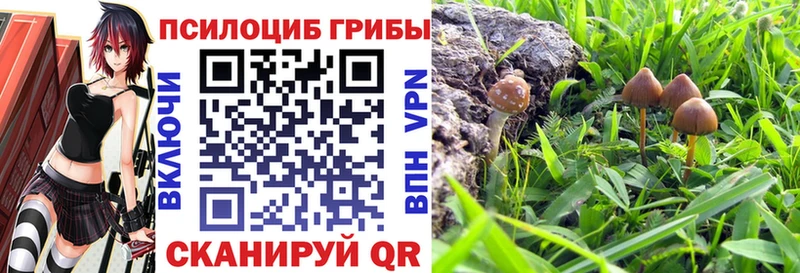 Галлюциногенные грибы Psilocybine cubensis  Алушта 